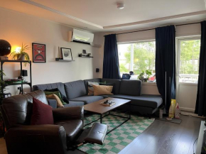 Spacious 4 bedroom apartment perfect for big groups for Ski WC
